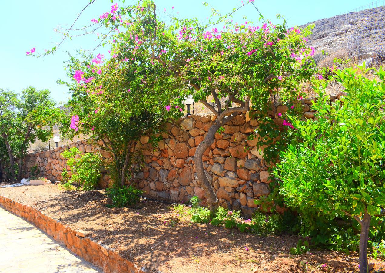 Asteras Apartments Xerokampos (Crete) Exterior foto